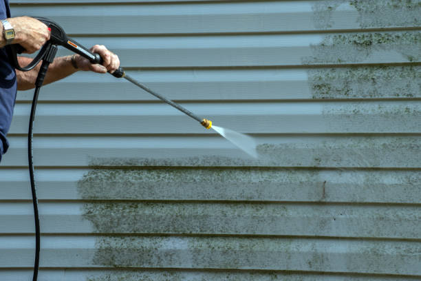Best Exterior Home Cleaning  in St Cloud, MN